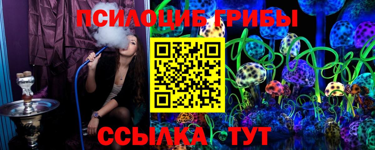 Псилоцибиновые грибы Psilocybe Прокопьевск