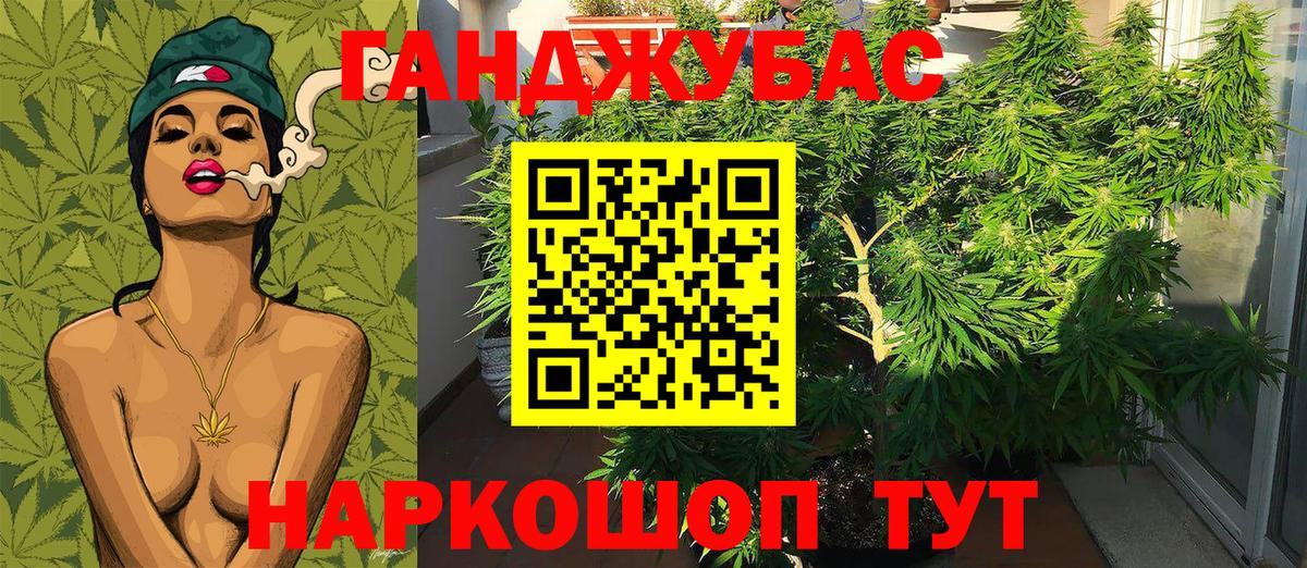 Бошки марихуана планчик  Шишки марихуана Ganja  Прокопьевск  Конопля Amnesia  Вход с VPN 